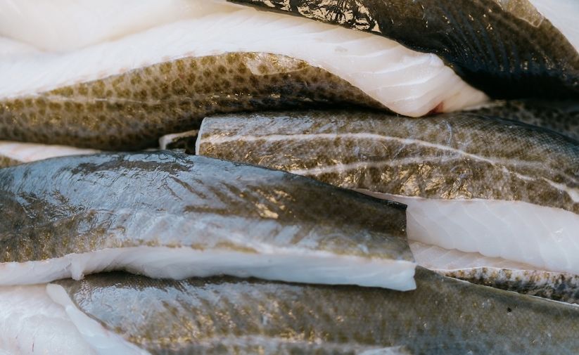 Het is weer tijd voor Skrei!