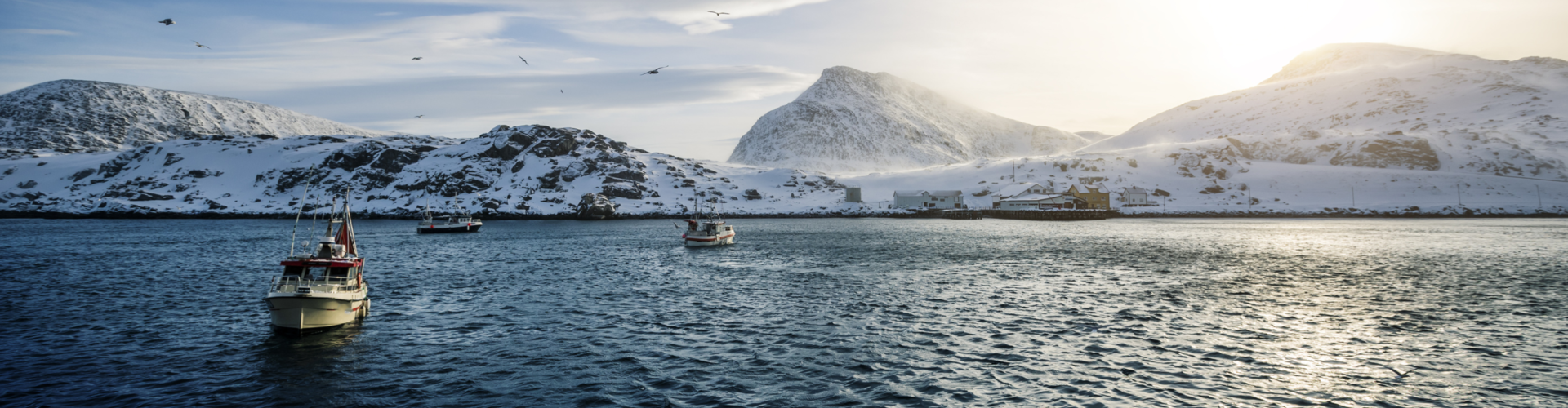 Skrei - Nu verkrijgbaar